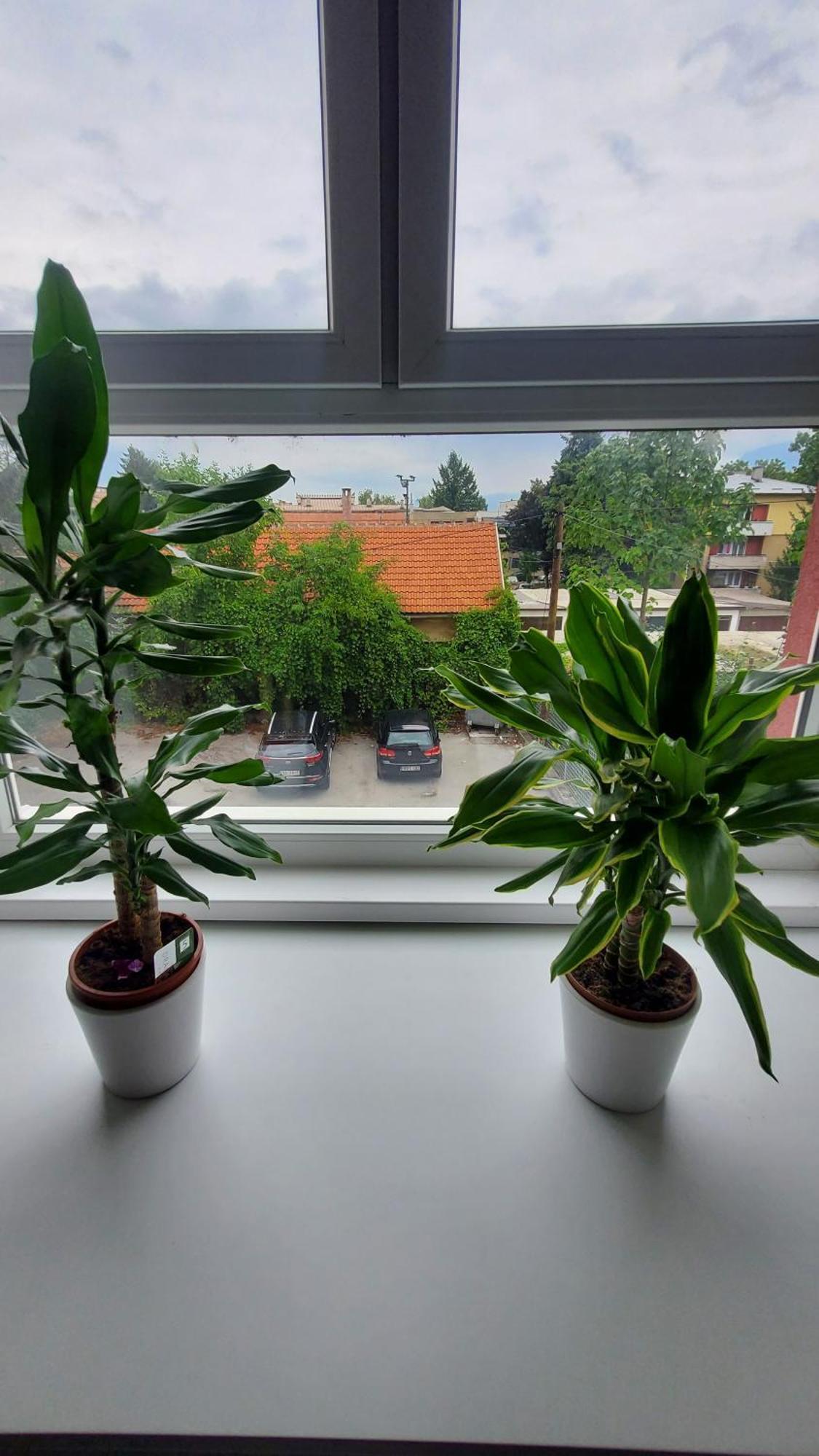 Apartmani Blue I Green Bugojno Exteriör bild